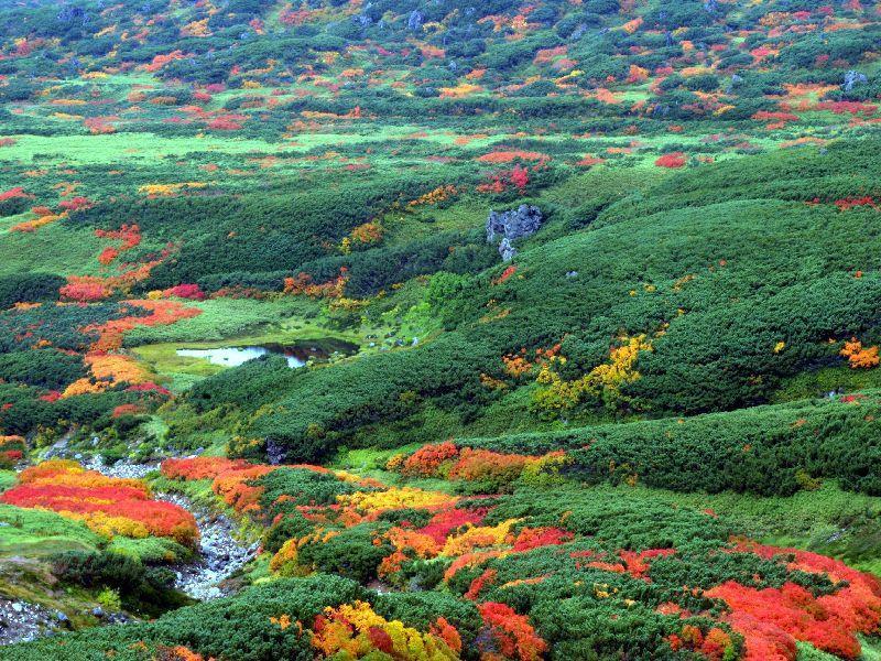 Asahidake Yumoto Yukomanso Higashikawa Buitenkant foto