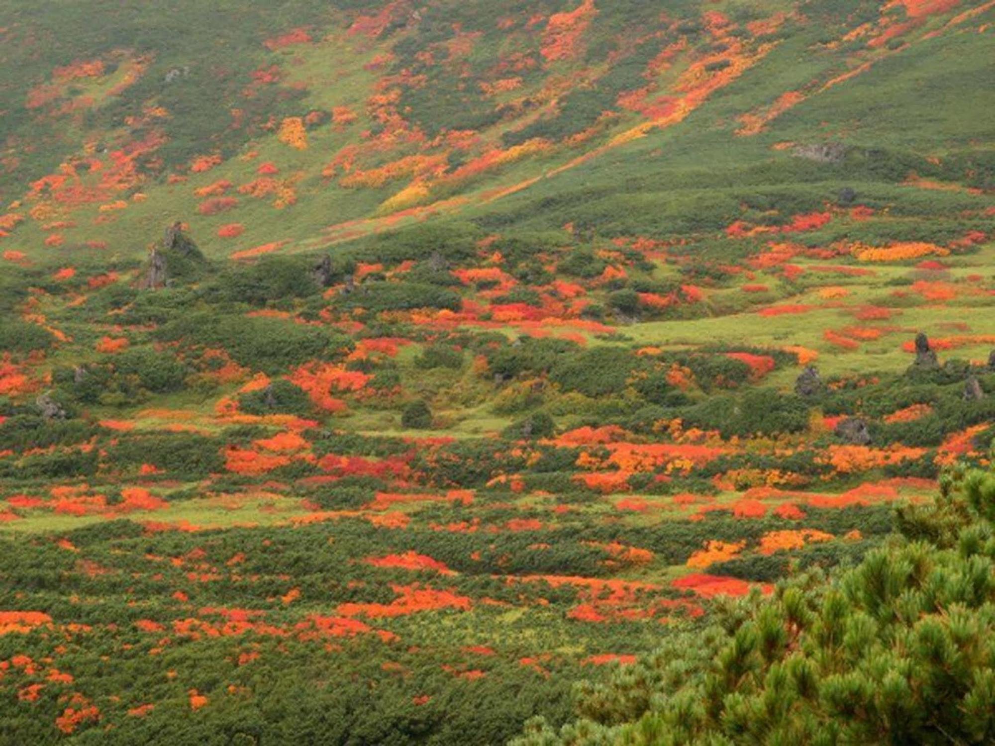 Asahidake Yumoto Yukomanso Higashikawa Buitenkant foto